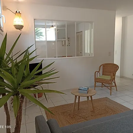 Appartement Le Des Palmiers