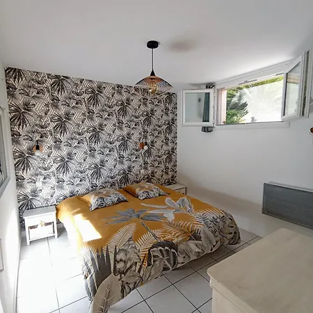 Le Des Palmiers Apartment *