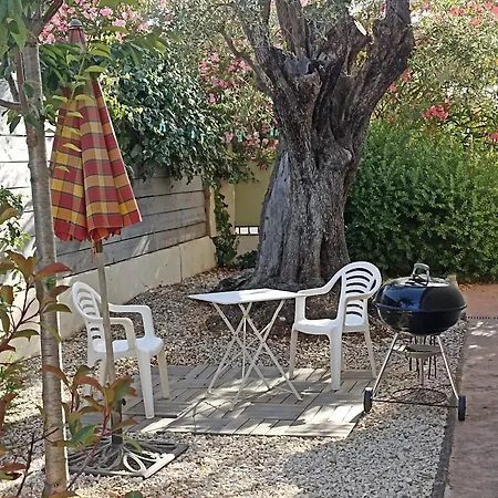 Le Des Palmiers Apartment *