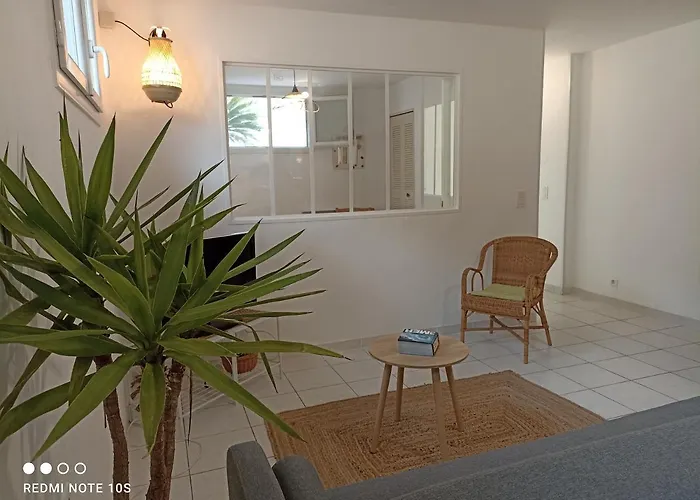 Appartement Le Des Palmiers