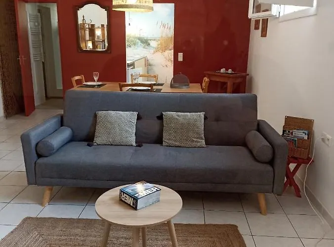 Appartement Le Des Palmiers *